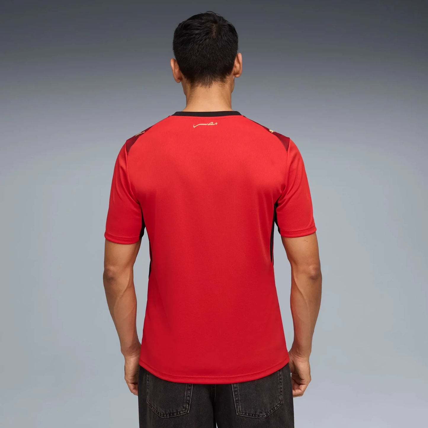 Jersey Egypt Home 2026